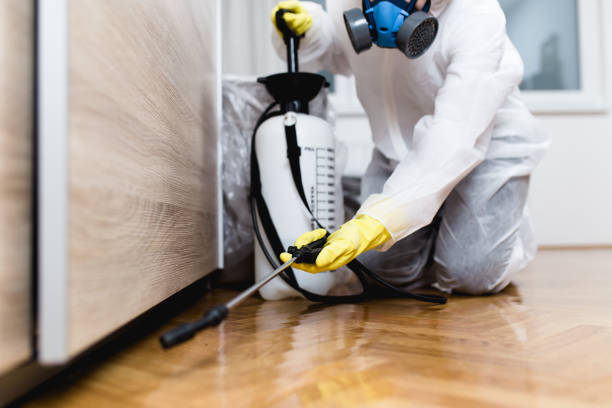 Best Best Pest Control Near Me  in Bay Park, NY