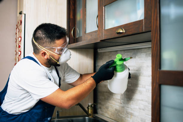 Best Wildlife Control Services  in Bay Park, NY