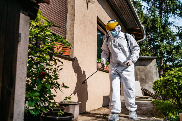 Best Affordable Pest Control Services  in Bay Park, NY