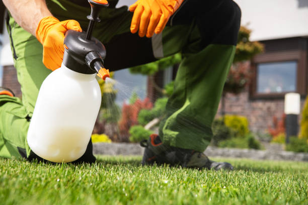 Bay Park, NY Pest Control Company