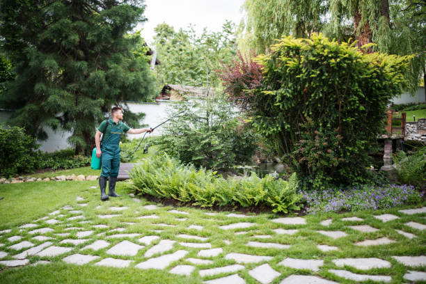 Best Best Pest Control Companies  in Bay Park, NY