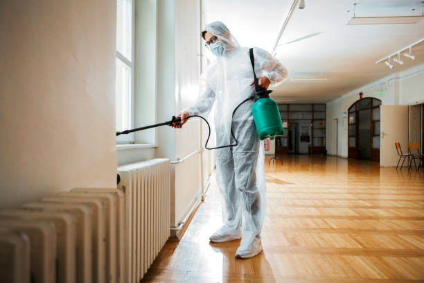 Best Pest Removal Services  in Bay Park, NY
